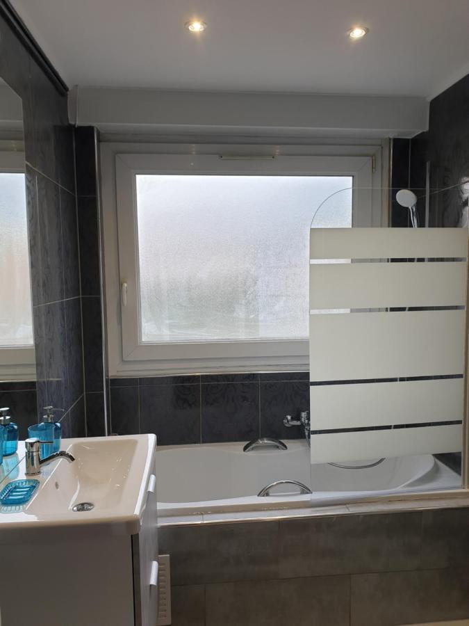 Appartement La Roseraie Proche Centre/Gare Metz Zewnętrze zdjęcie