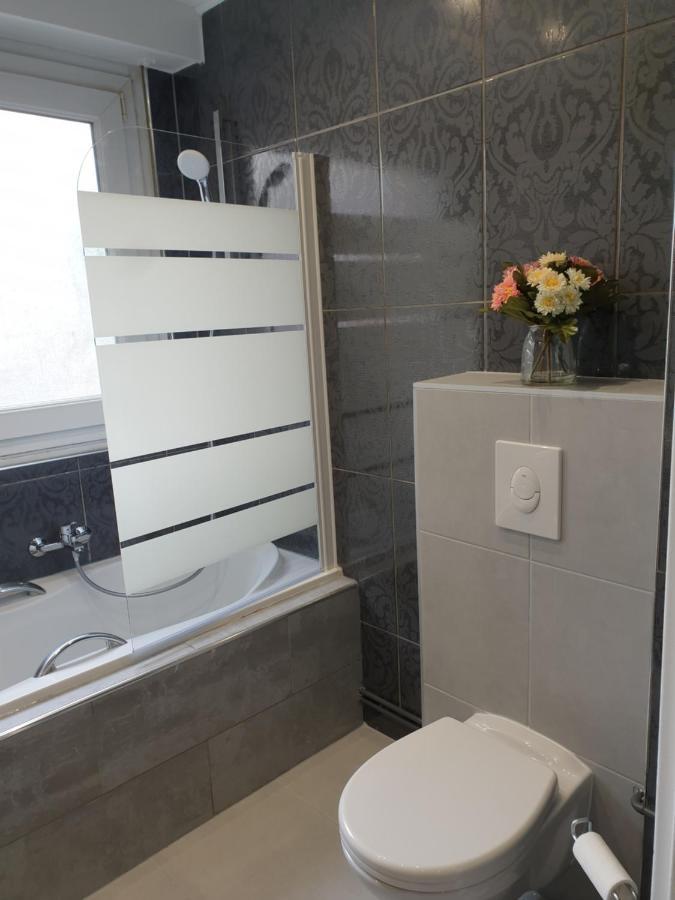 Appartement La Roseraie Proche Centre/Gare Metz Zewnętrze zdjęcie